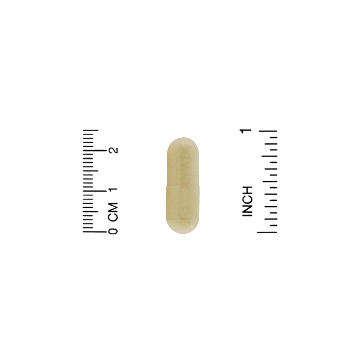 Organic India Moringa 90 Veggie Caps Gluten-Free, Organic, Vegan, Vegetarian