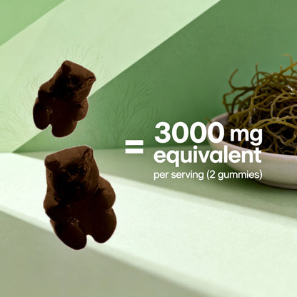 Irish Sea Moss Gummies - 3000 Mg - 60 Vegan Gummies - Made with Bladderwrack & Burdock Root - Seamoss Supplement for Thyroid, Energy, Immune Support